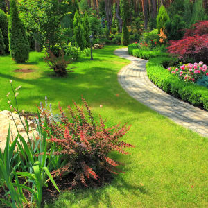 Landscape Design
