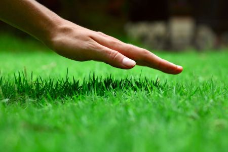 Lawn fertilizing